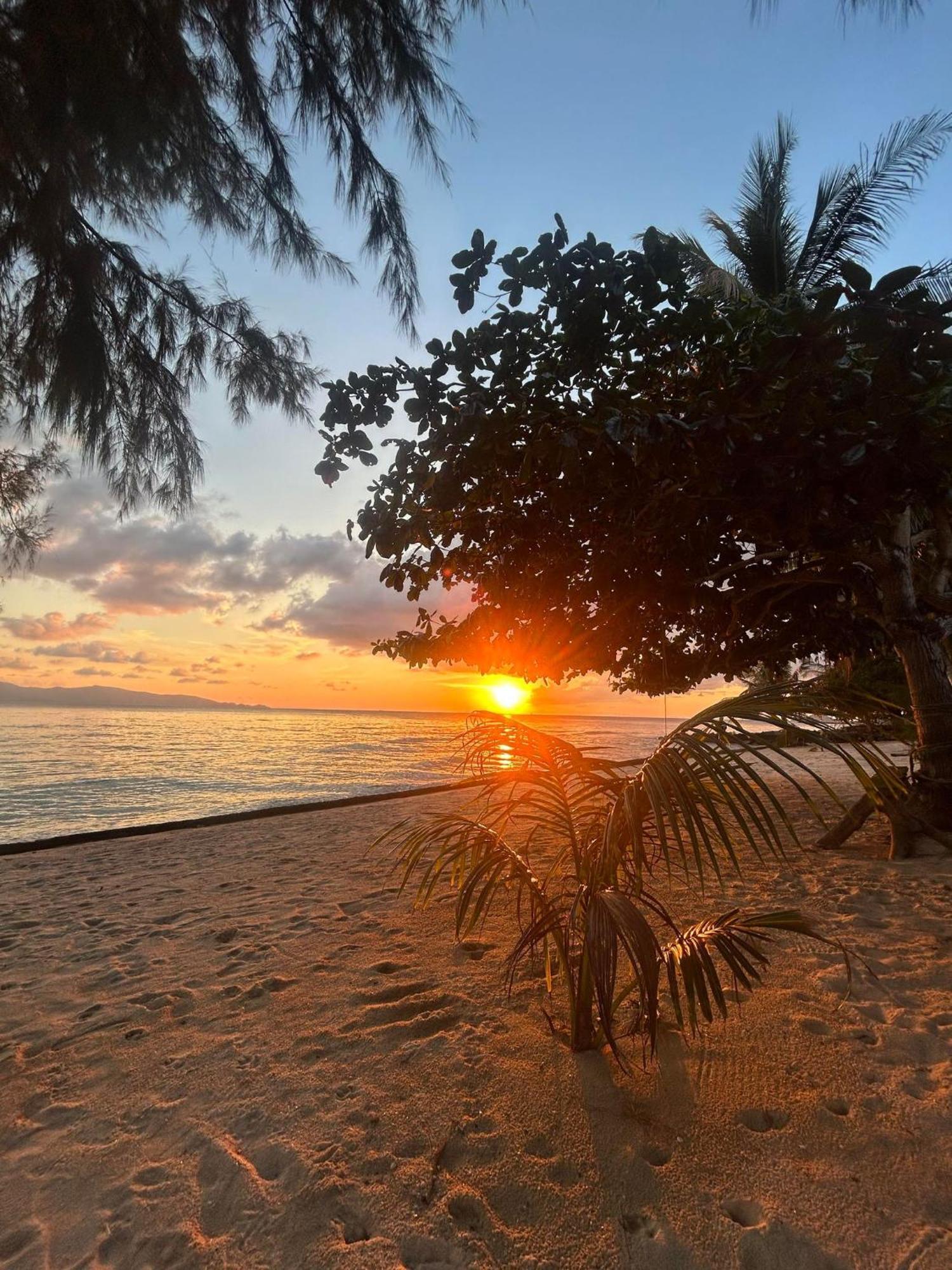 Pinks Bungalow Baan Tai Ngoại thất bức ảnh